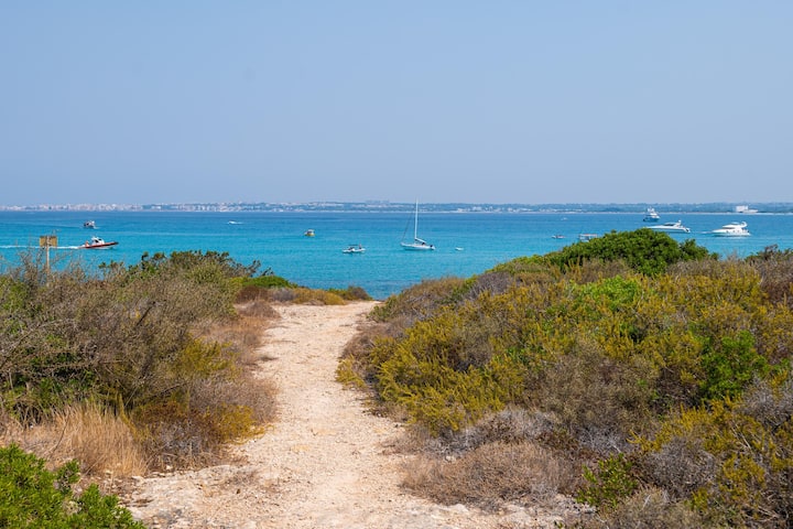 Undicesima Dimora Del Pizzo - Gallipoli