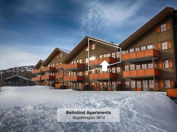 Norway Expensive Penthouse Apartments For Rent photo