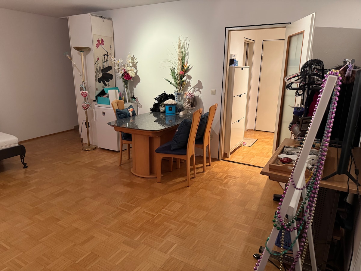 Top performing Airbnb: Apartment next to English Garten, BMW, Metro in Alte Heide Hirschau