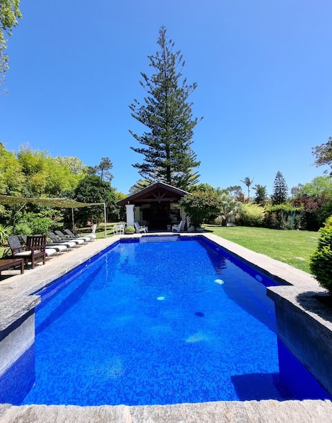 Punta del Este Point Prim