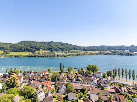 Panoramic Deluxe Penthouse • Lake View • BBQ