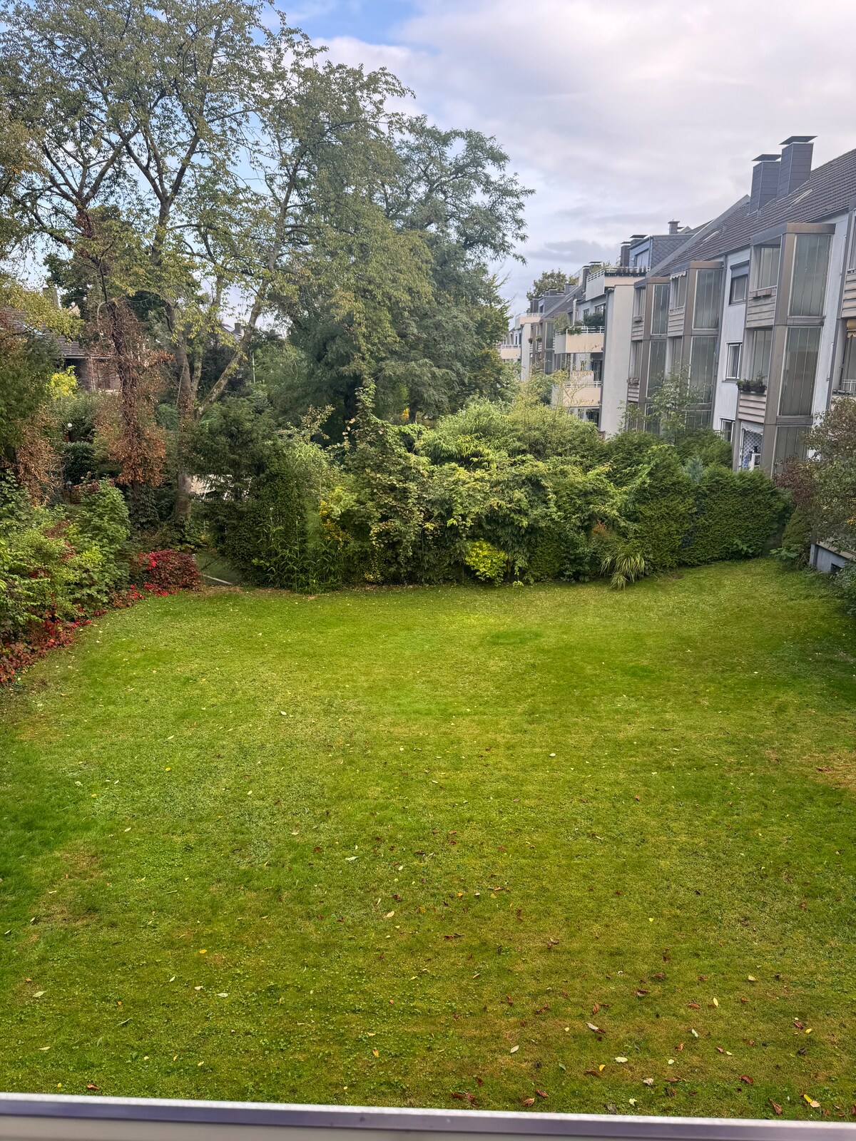 Dusseldorf Lorik WG