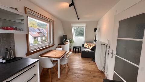 Beliebte Airbnb-Anzeige: Am Strandbad in Freiburg Im Breisgau