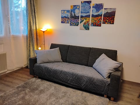 Popular Airbnb listing: Apartment Arte in Sankt Leonhard