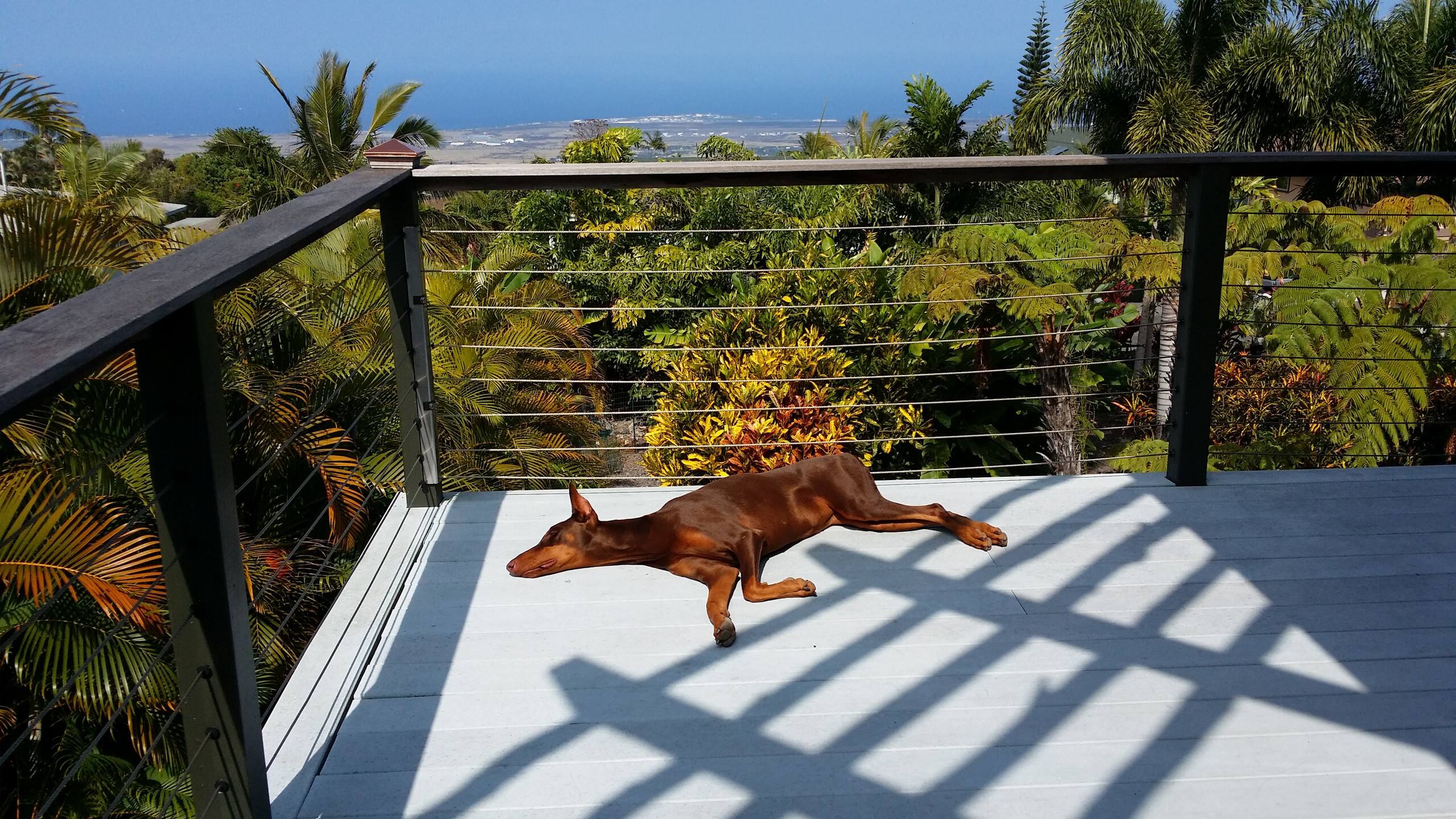 Home in Kailua-Kona · ★4.67 · 2 bedrooms · 3 beds · 1 private bath - Photo 18