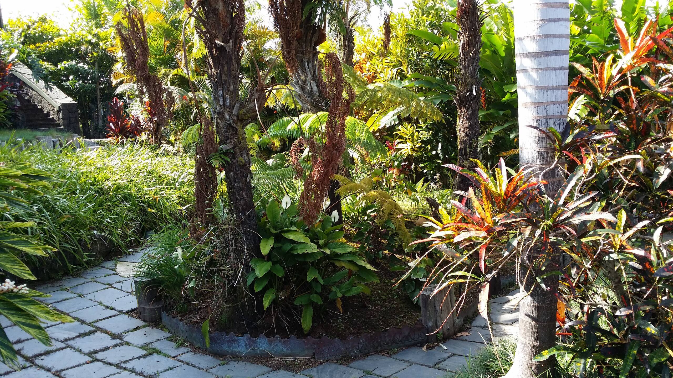Home in Kailua-Kona · ★4.67 · 2 bedrooms · 3 beds · 1 private bath - Photo 31