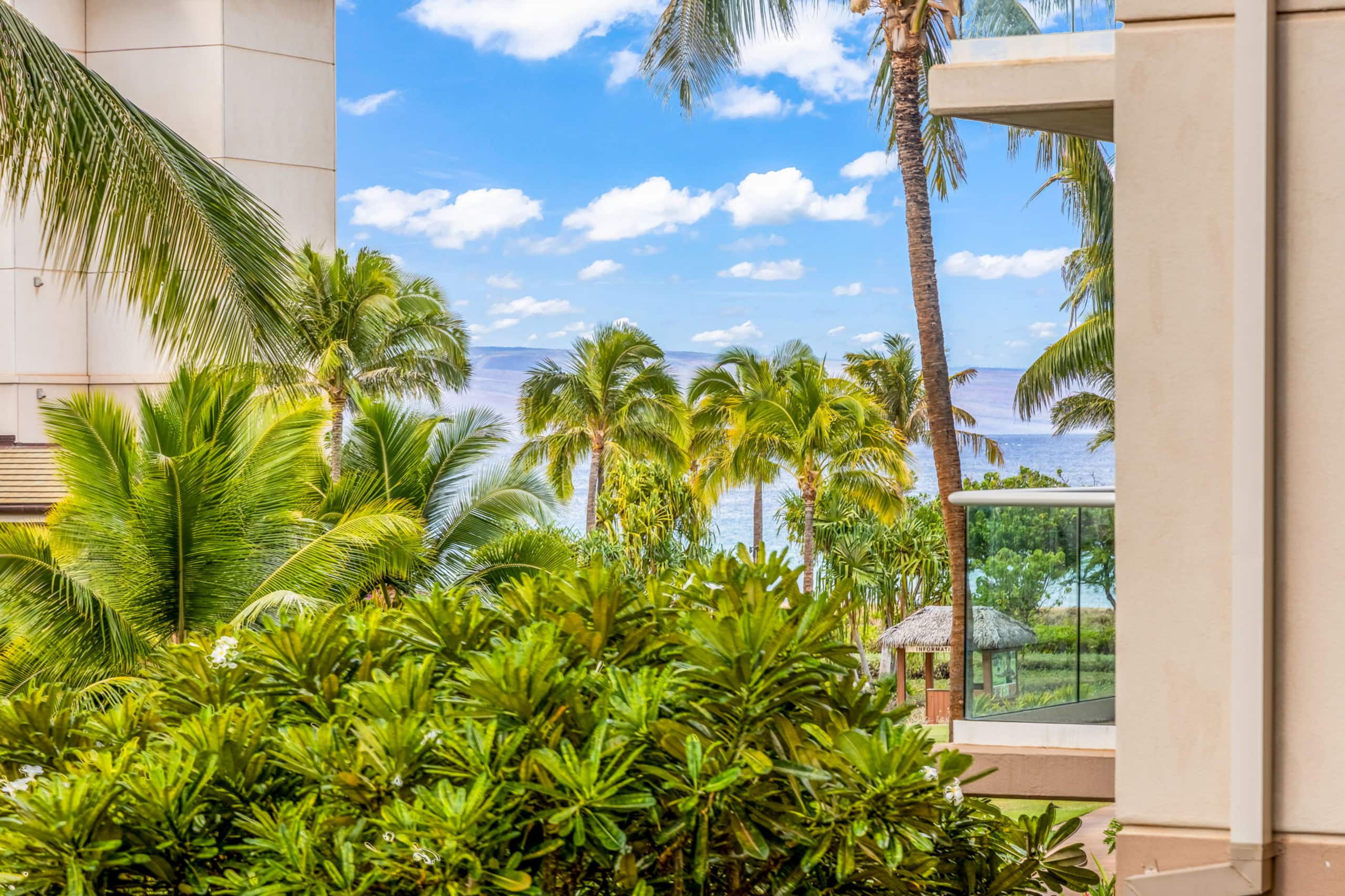 Kaanapali 1 bedroom resort condo, AC, & amenities! - Image 23