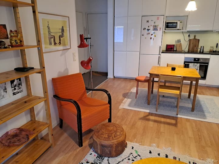 Artistic Riverside Flat With Sauna & Balcony - Rovaniemi
