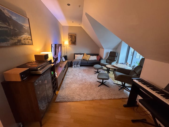 Sentral Leilighet I ÅLesund. - Ålesund
