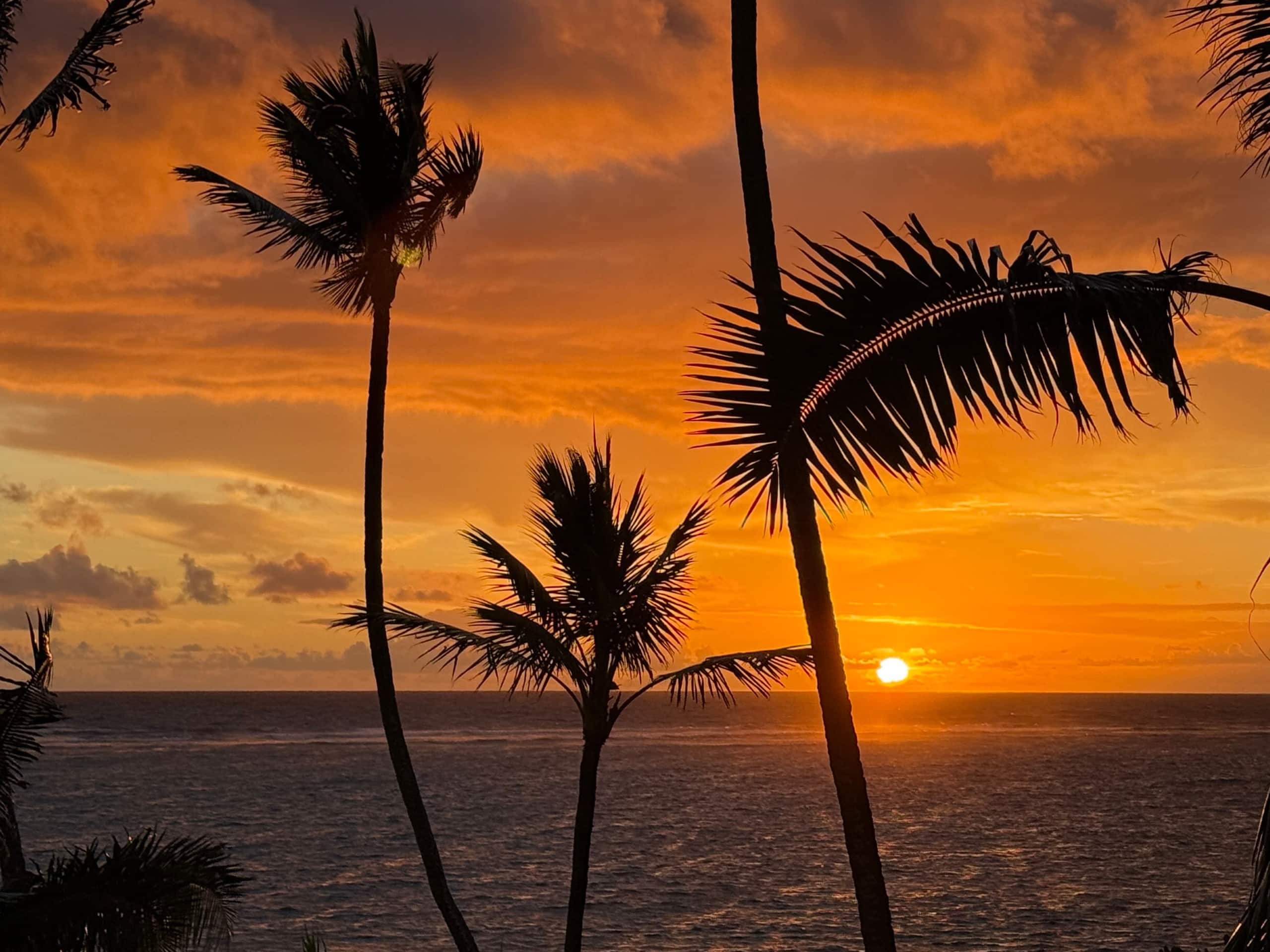 Condo in Hauula · ★4.82 · 1 bedroom · 4 beds · 1 private bath - Image 21