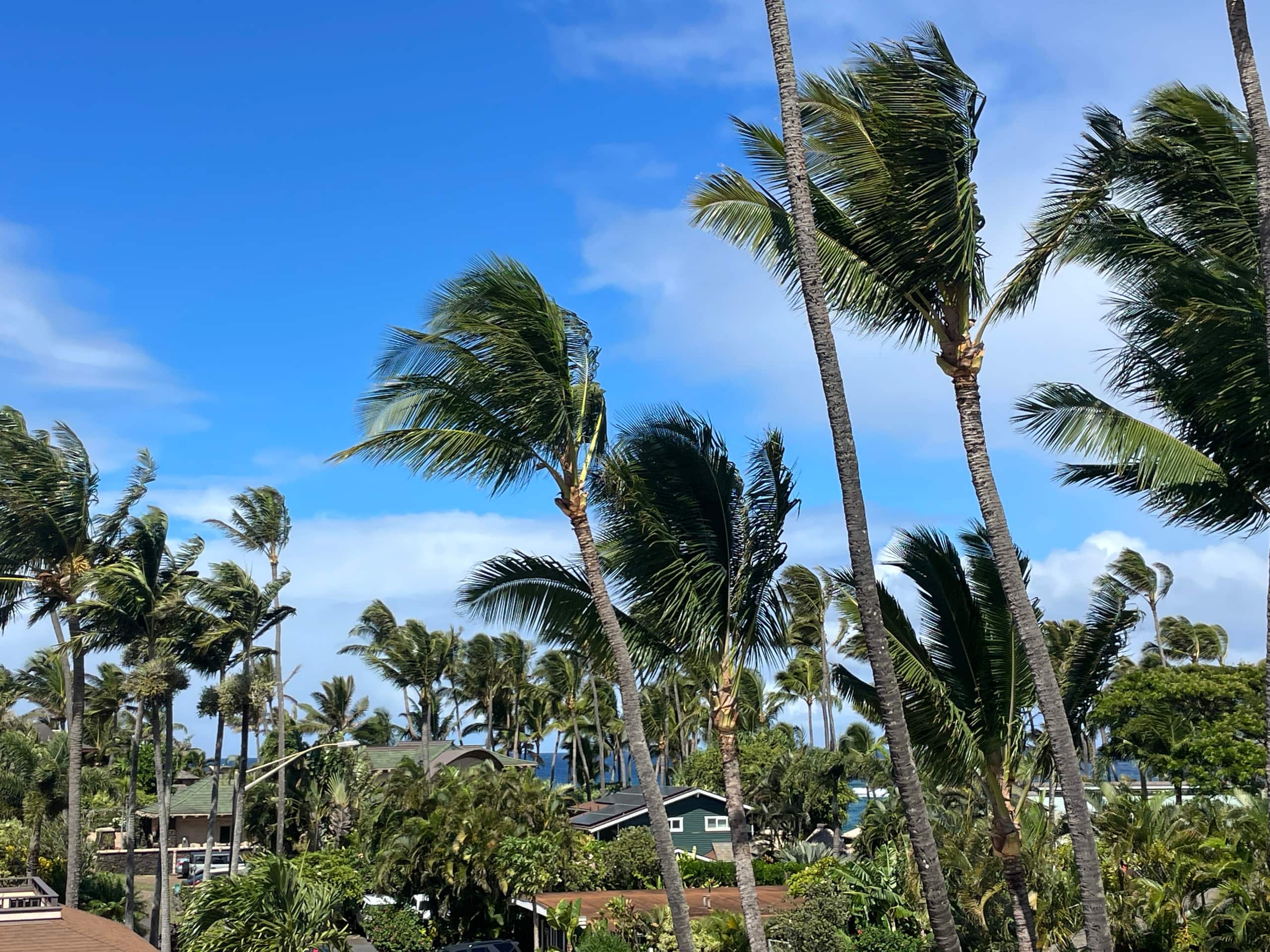 Cozy Coastal Condo — Paia, Maui - Photo 18