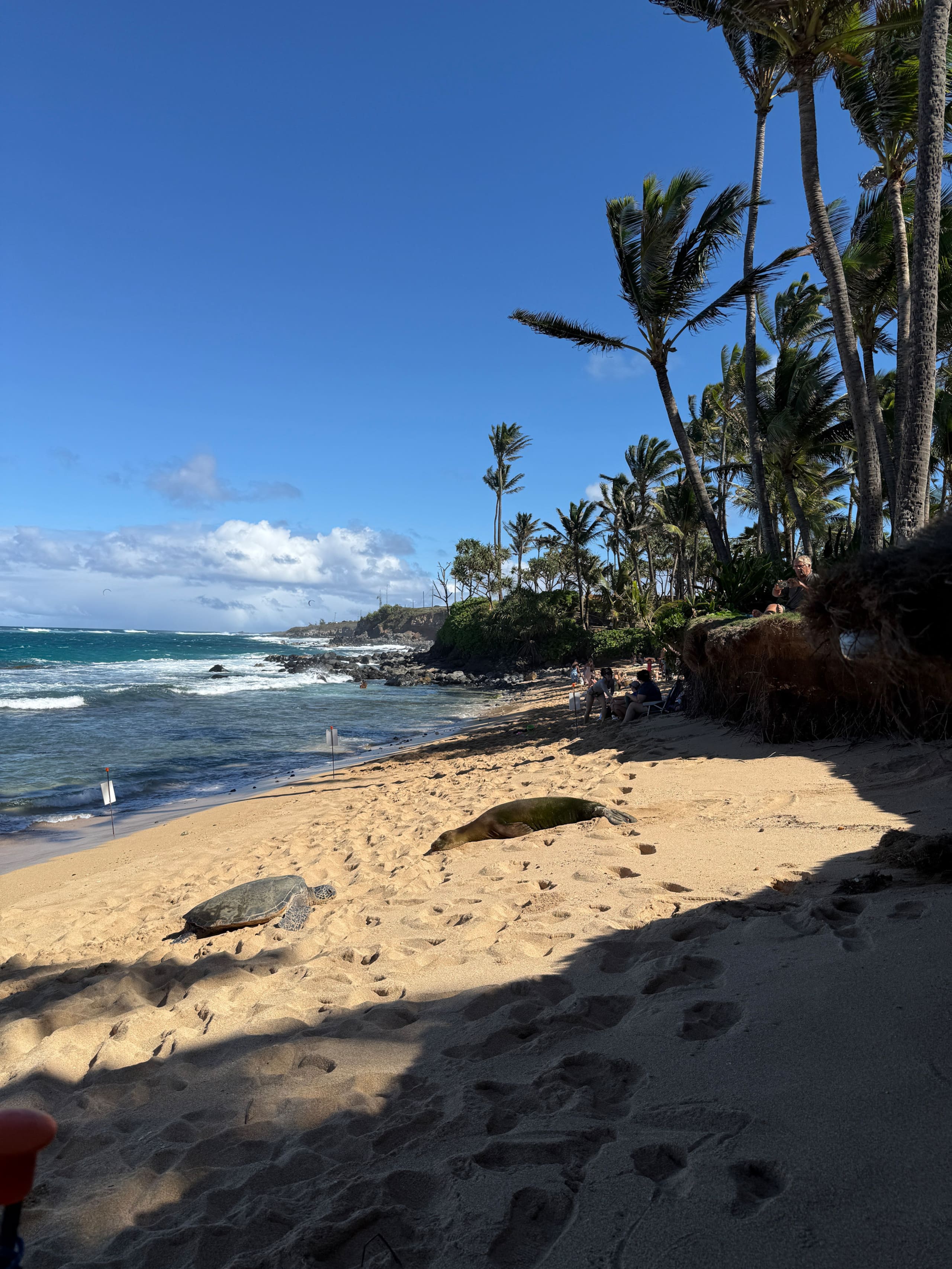 Cozy Coastal Condo — Paia, Maui - Photo 22