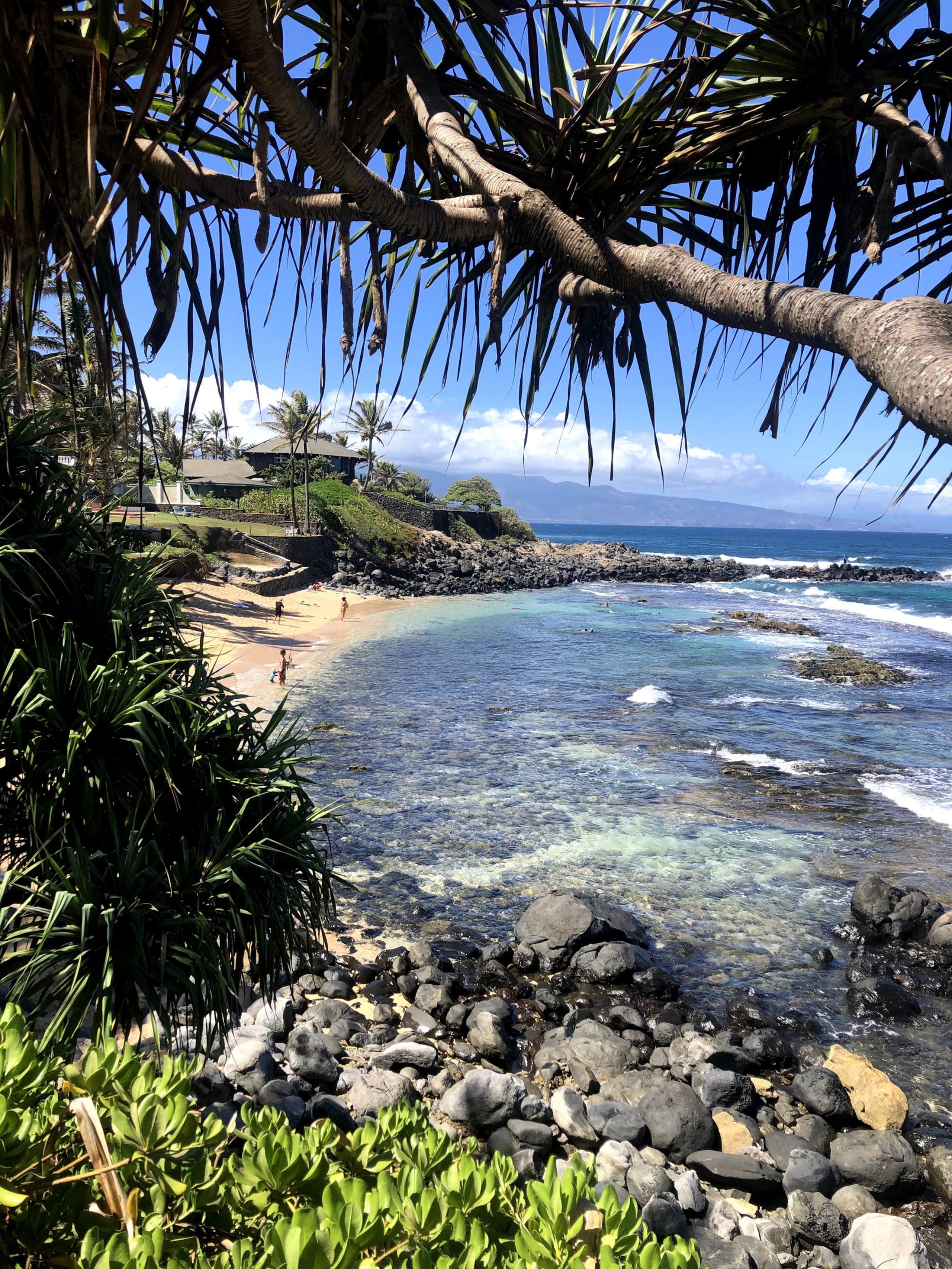 Cozy Coastal Condo — Paia, Maui - Photo 17