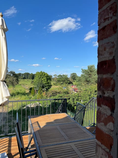 Dohlennest Linum