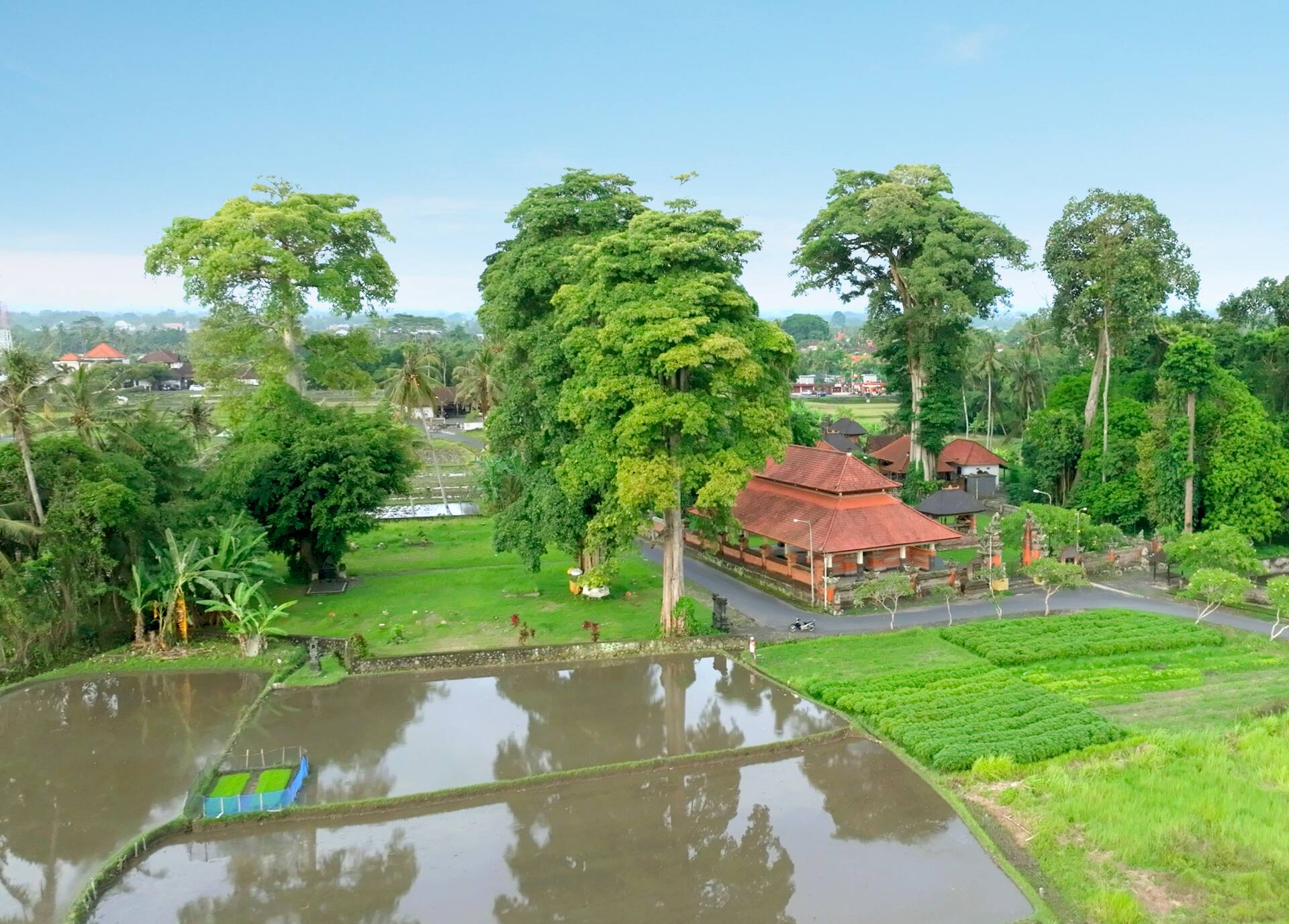 Peaceful Poolside Sanctuary 2 Bedroom Private Villa in Ubud 3
