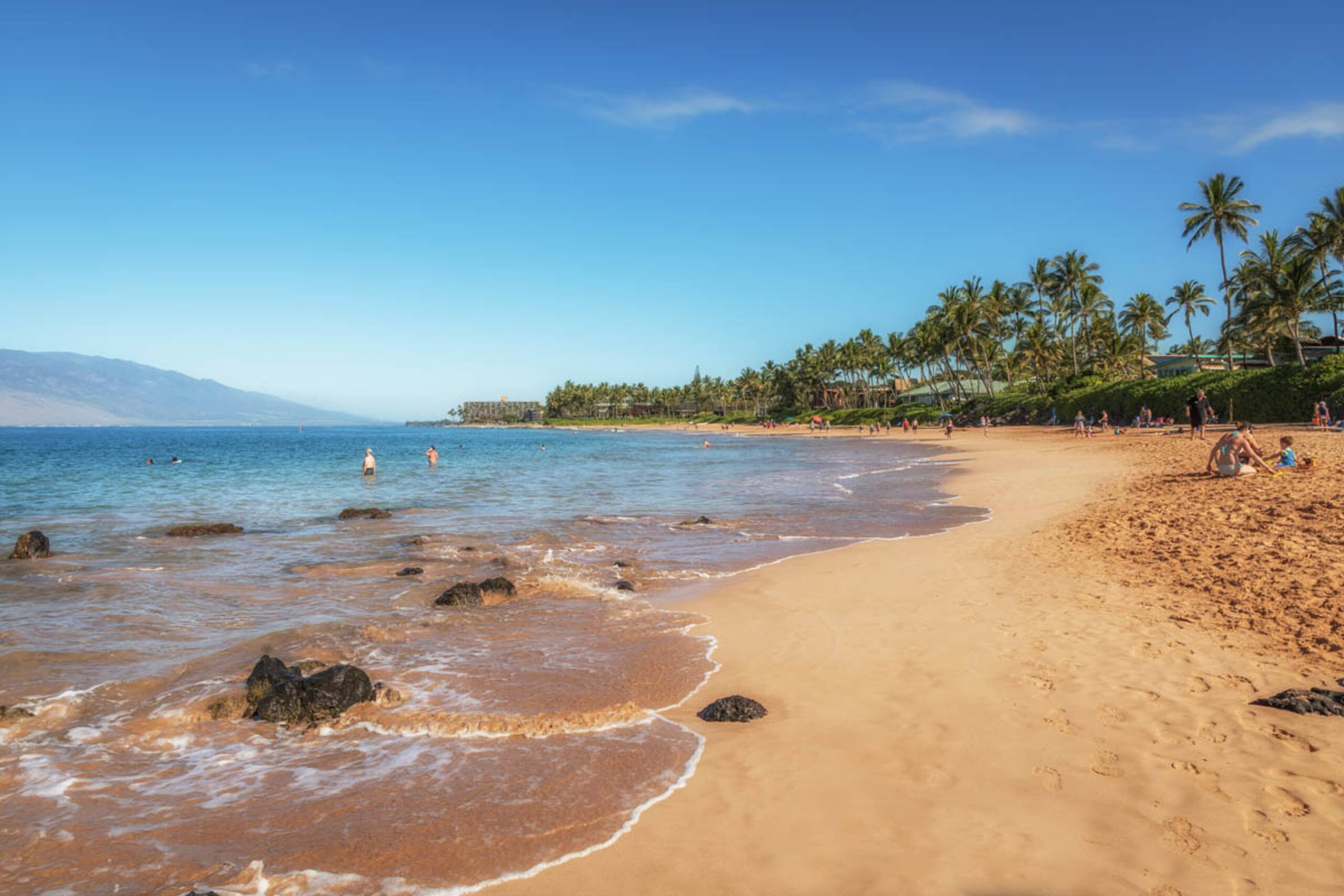 Condo in Kihei · ★4.83 · 1 bedroom · 2 beds · 1 bath - Image 20