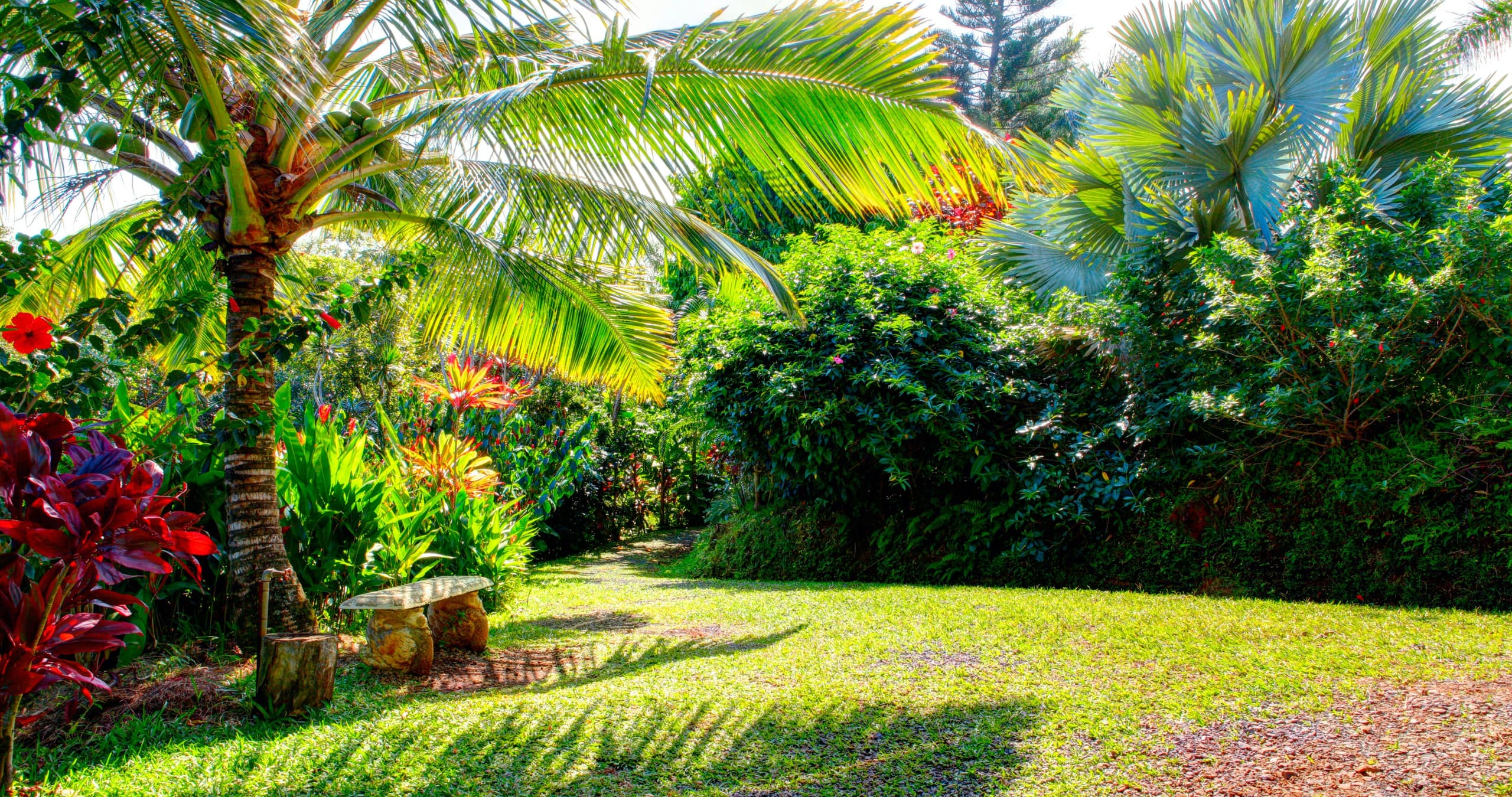 Condo in Kihei · ★4.75 · 1 bedroom · 2 beds · 1 bath - Image 22