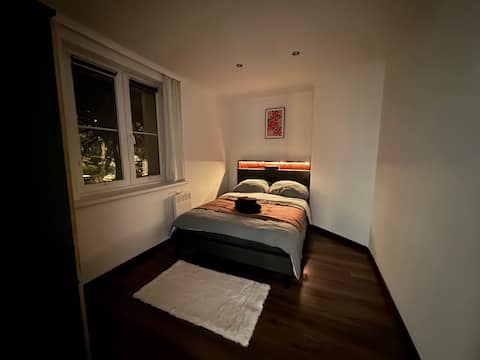 Resslova Apartment