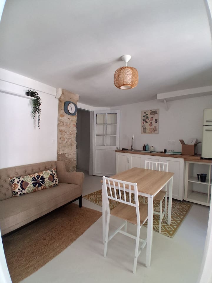 Appartement En Centre-ville Avec Cour Extérieure. - Salies-de-Béarn