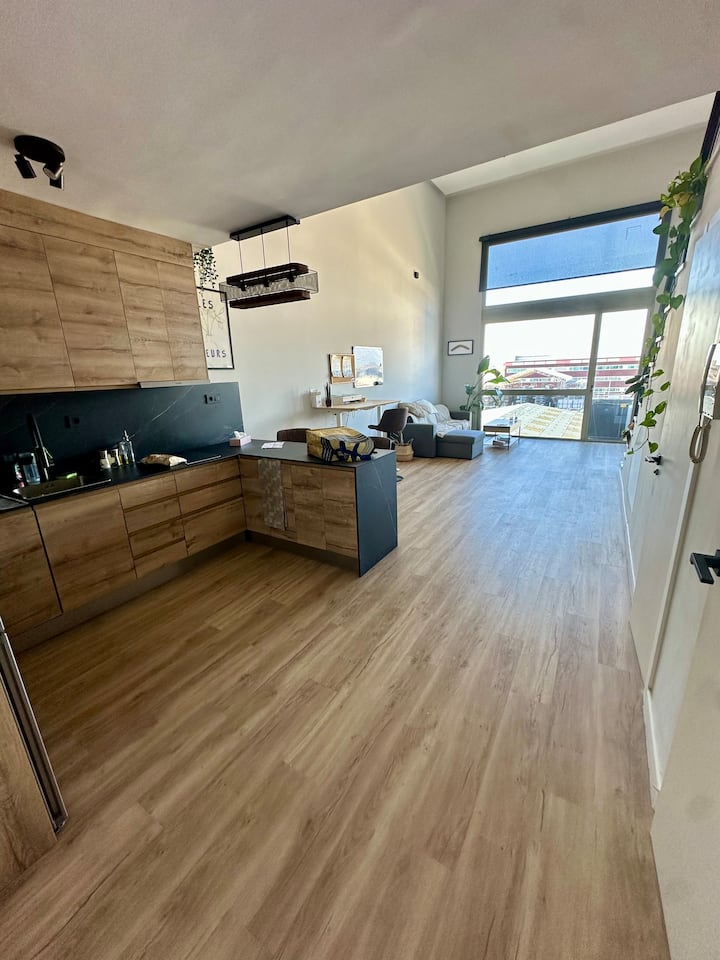 Loft De Diseño - Pinto