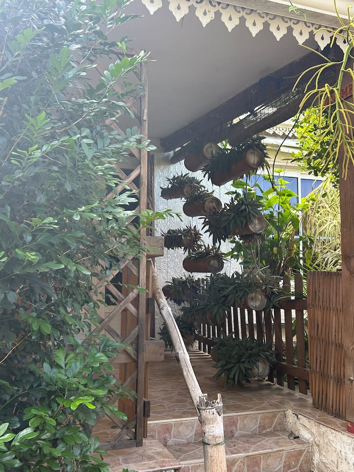 Ti Bois De Nèfles Coco - Bambou - Réunion