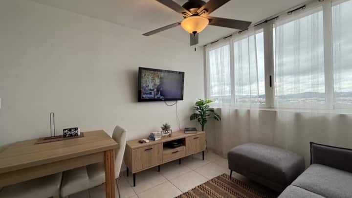 Cozy Apt+wifi+kitchen+ac+pool+gym+work Area@panamá - Panama City