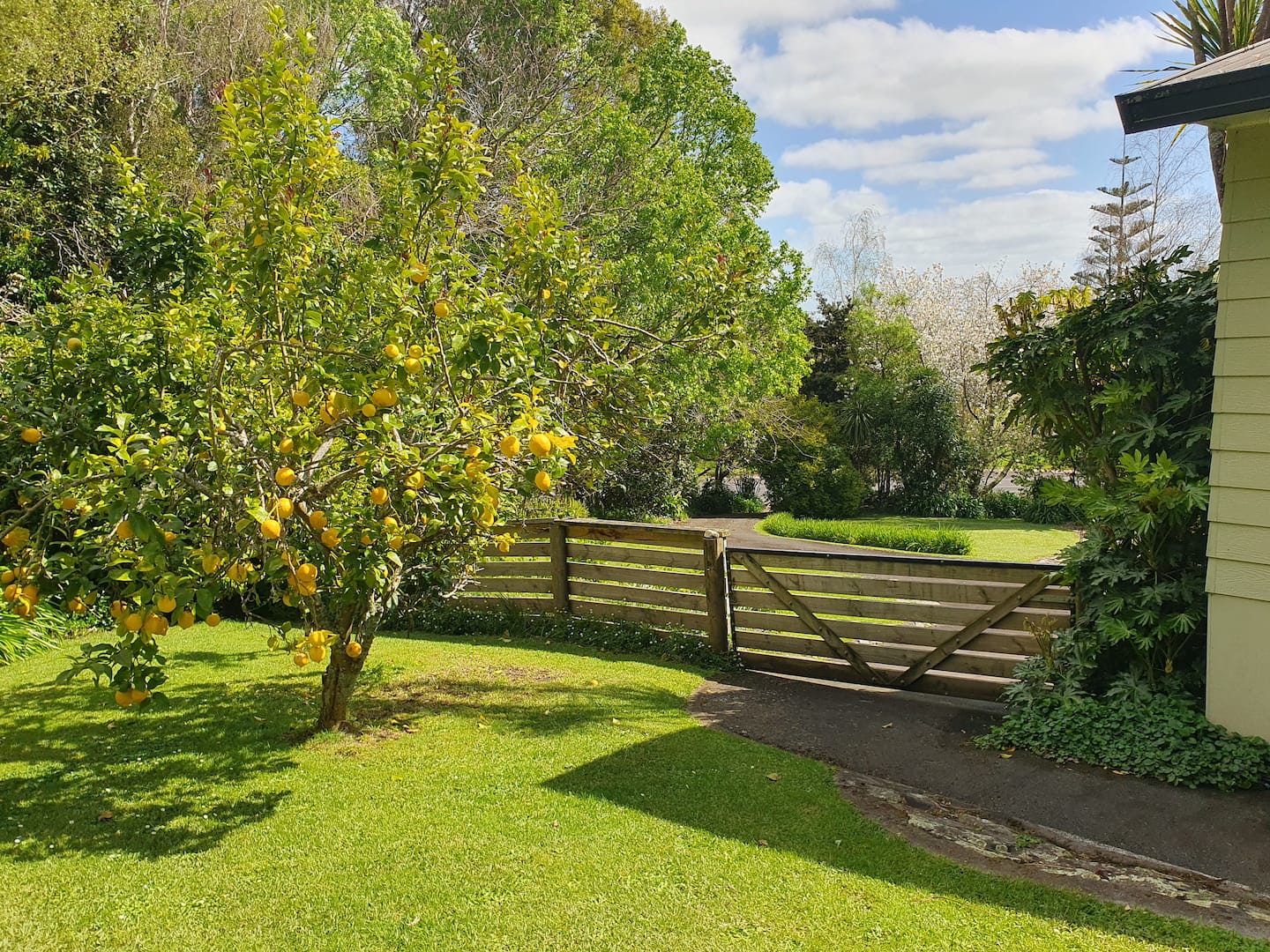 Secluded Urban Hideaway, Surrounded By Nature 3