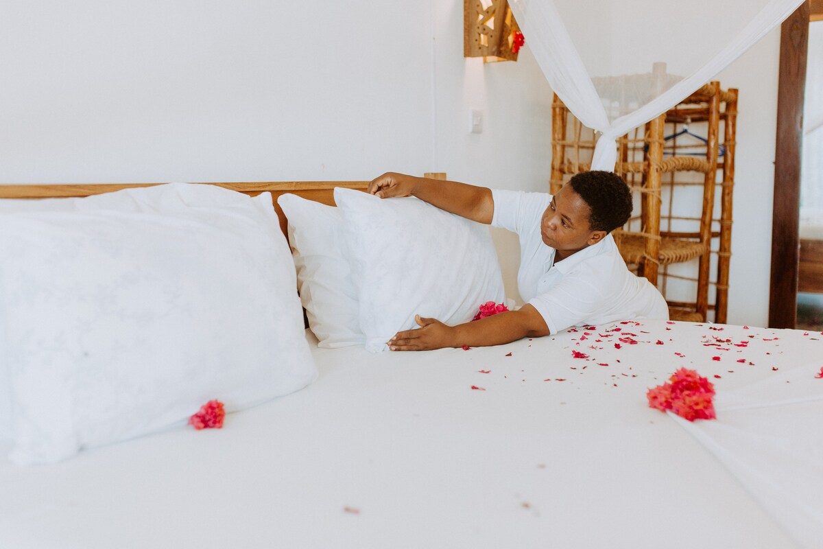 1-Lily House - Villa with Private Pool & AC - Houses for Rent in Nungwi ...