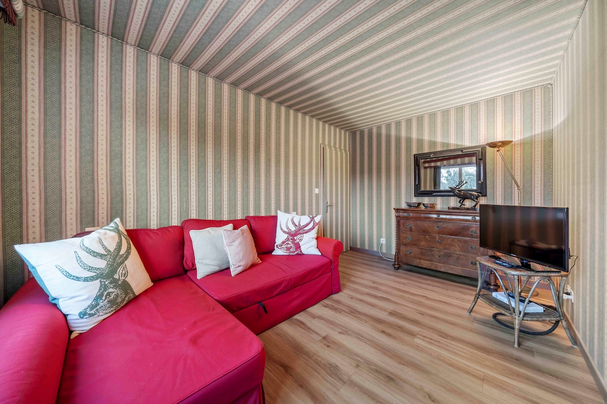 סלון עם טלוויזיה וספה נפתחת.