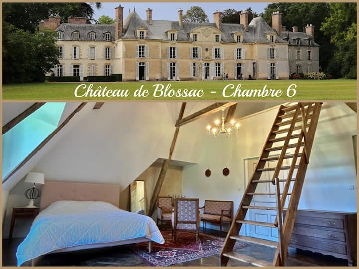 Château De Blossac - Chambre 6 - Guichen