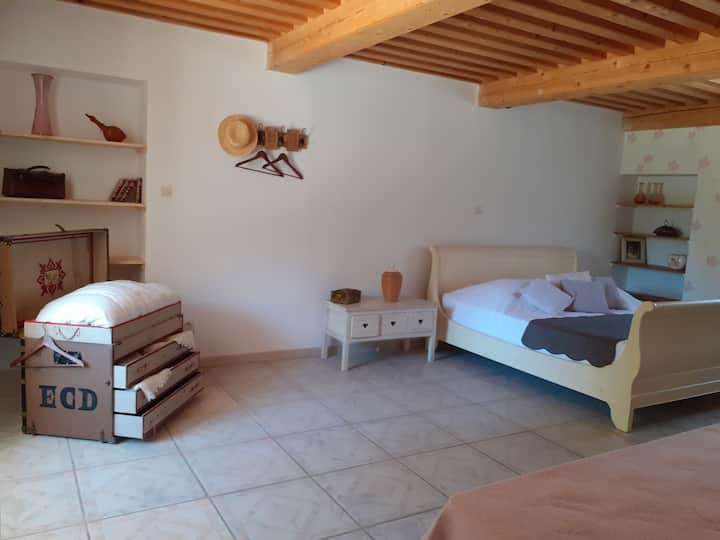 Esta habitación, con acceso directo desde la terraza de una sola planta, tiene una anchura de apertura accesible para personas con movilidad reducida. Un baño adaptado para personas con movilidad reducida completa la habitación.