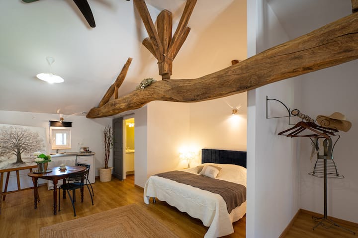 Habitación con baño y aseo privado. Aire acondicionado.