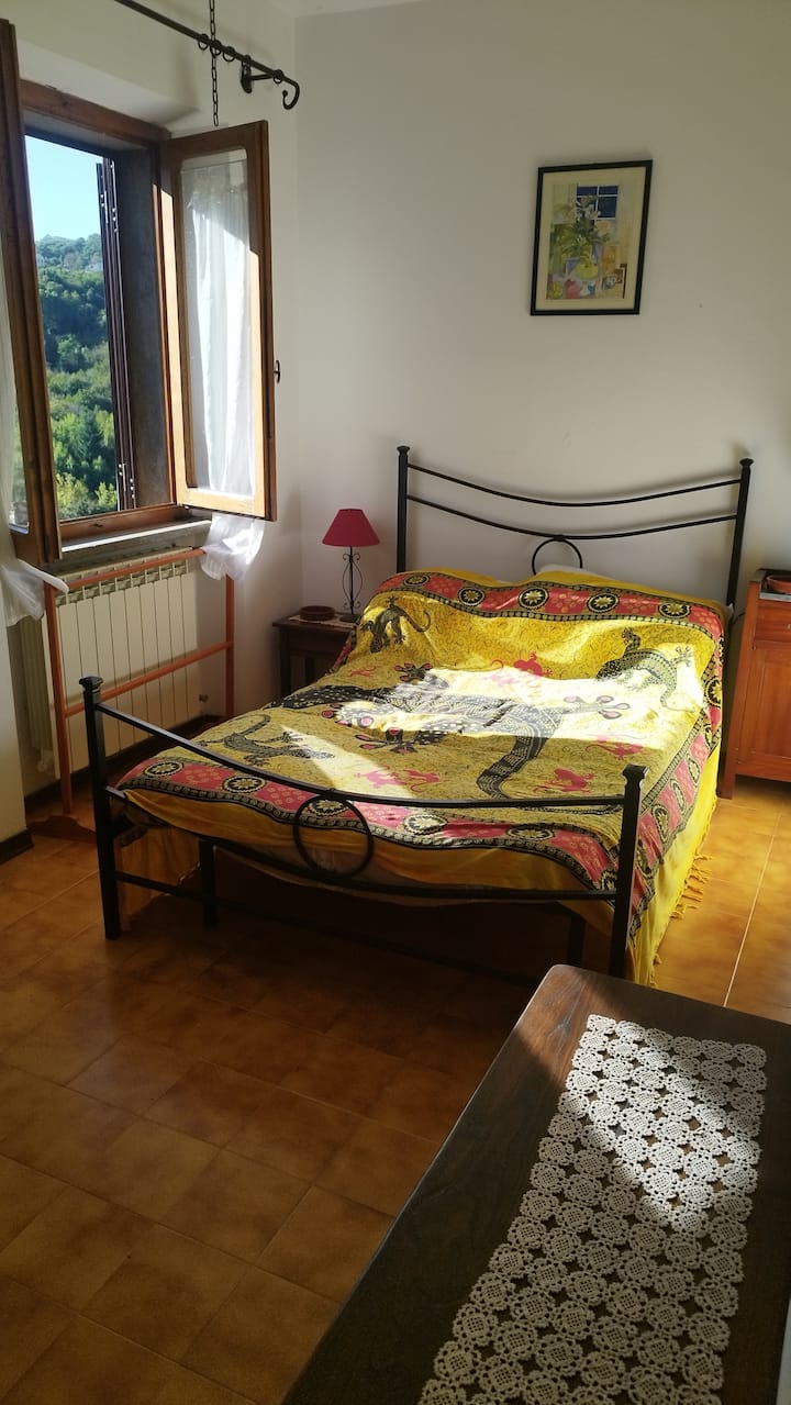 Nel Cuore Dell'amiata, 
Stanza In Casa Nel Verde. - Santa Fiora