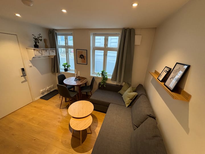 Modern And Cosy Apartment In The Heart Of Bergen - Bergen