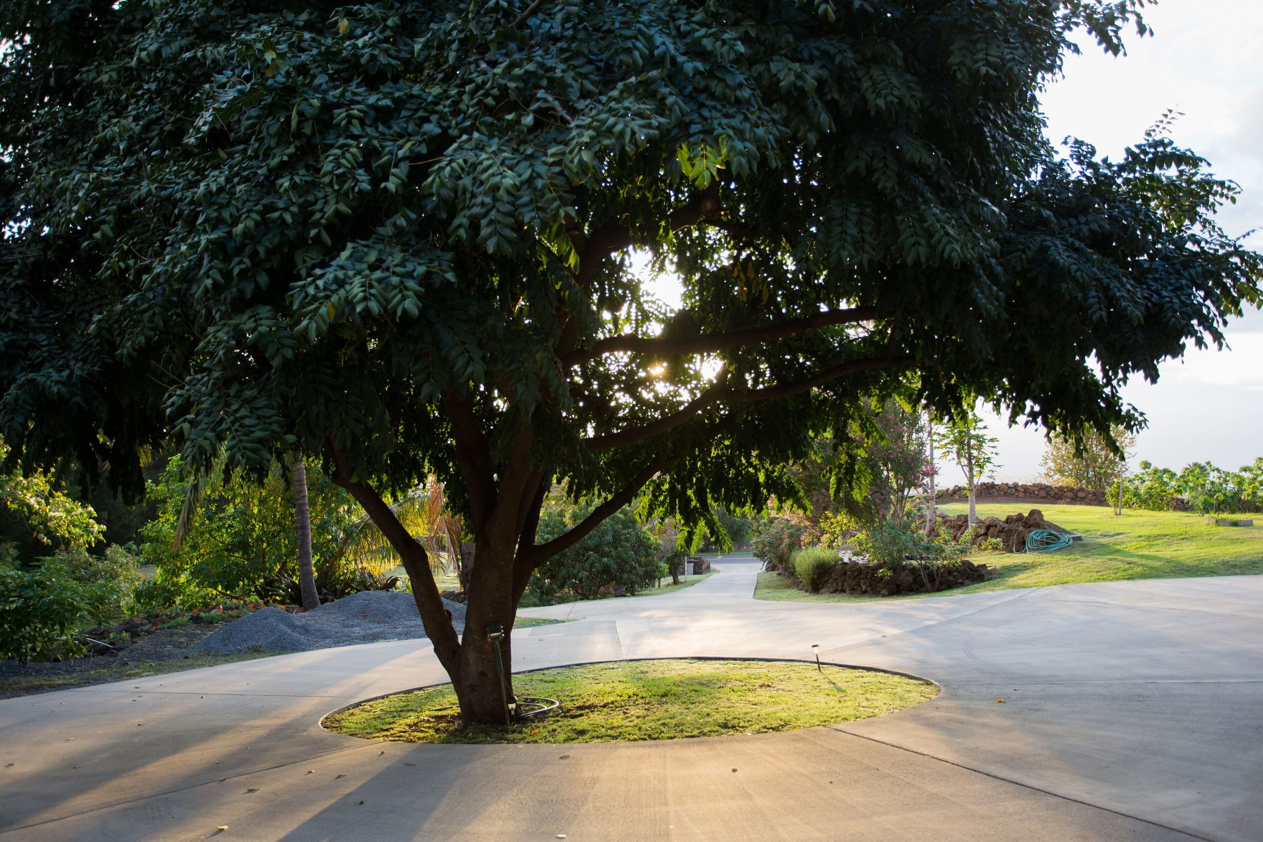 Home in Kula · ★5.0 · 3 bedrooms · 4 beds · 2 baths - Photo 27