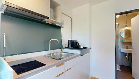Successful Airbnb property: Studio Deluxe - Alpenblick Bern - 359 in Spitalacker