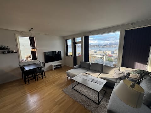 Apartment on Tomasjord with a brand new view