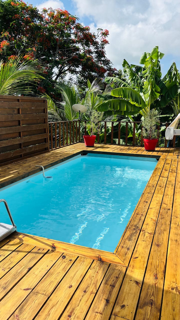 Vue piscine et jardin