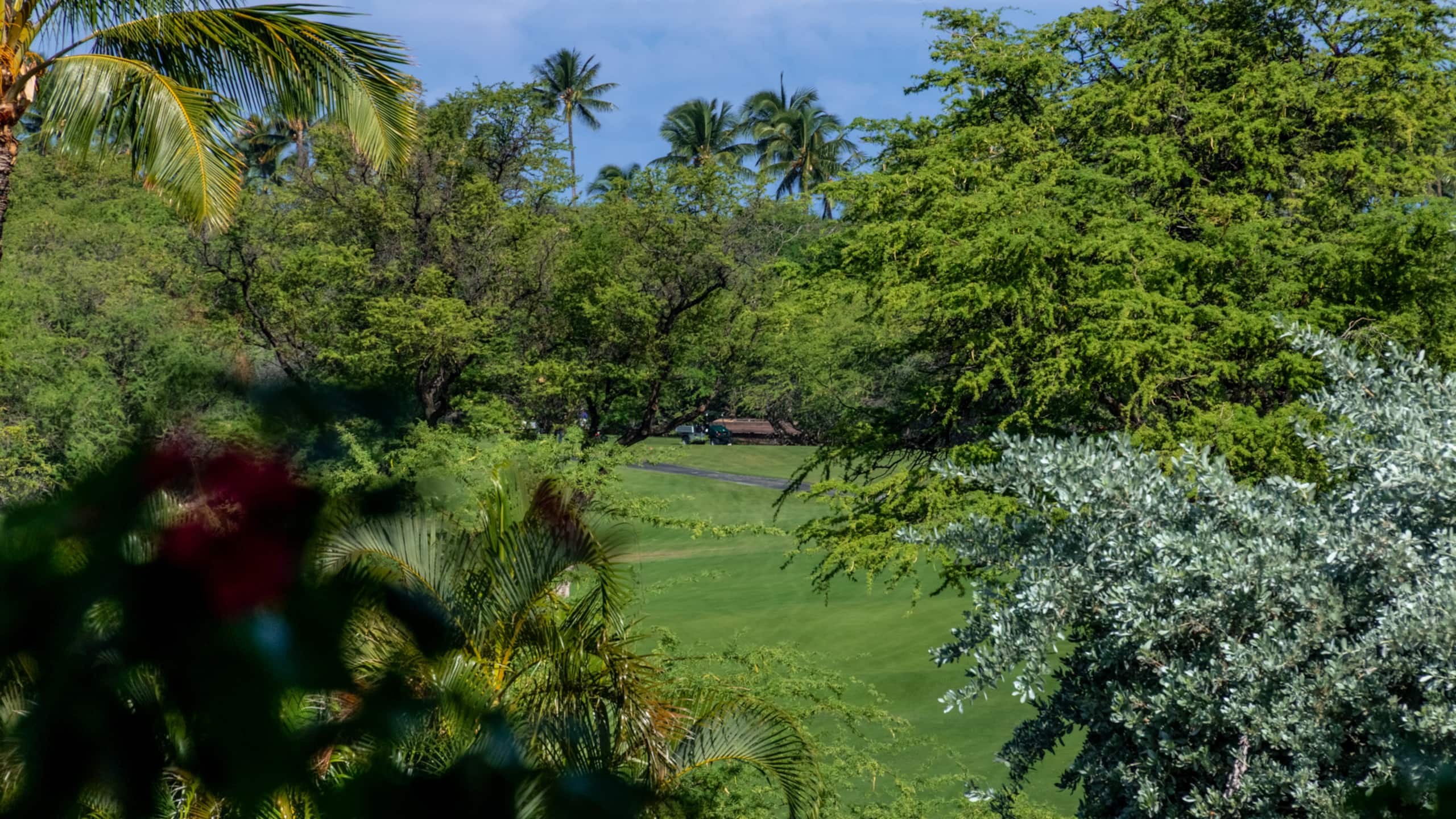 Home in Waimea · ★5.0 · 3 bedrooms · 4 beds · 3.5 baths - Image 47