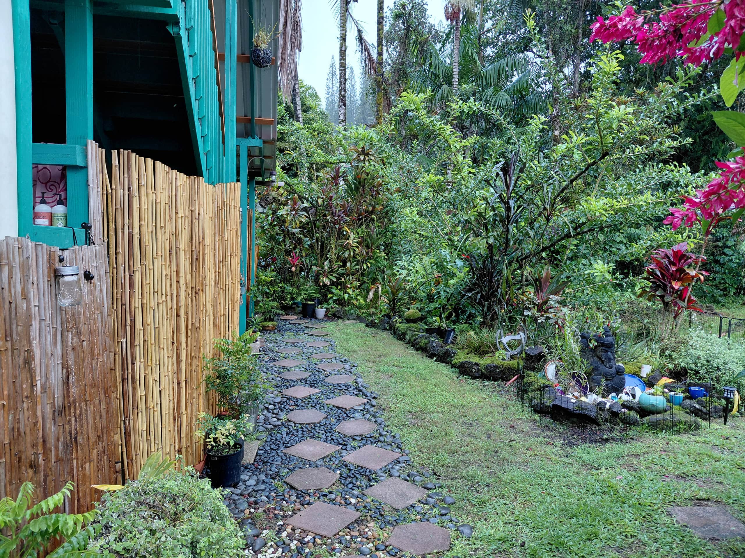Jungle top suite nature escape ~ two king beds - Image 8
