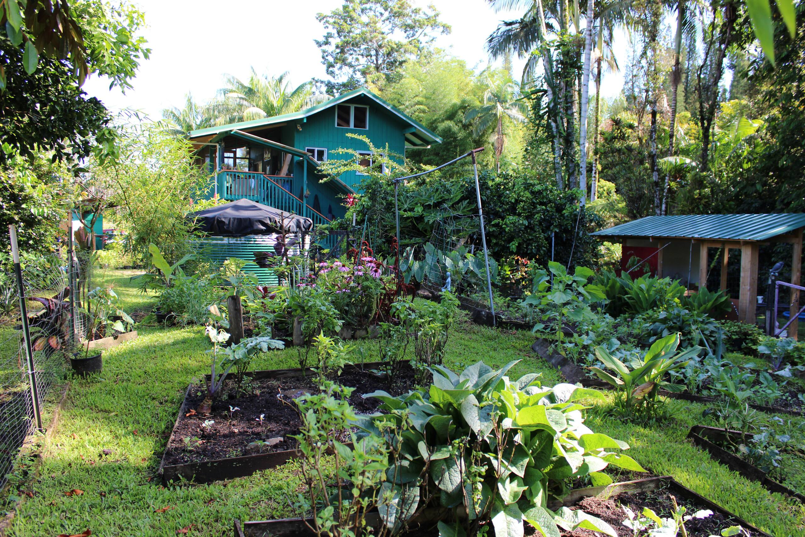 Jungle top suite nature escape ~ two king beds - Image 4