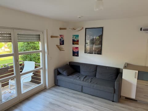 Leistungsstarkes Airbnb: Pet-Friendly 1BR with Balcony near Olympiapark in Am Riesenfeld