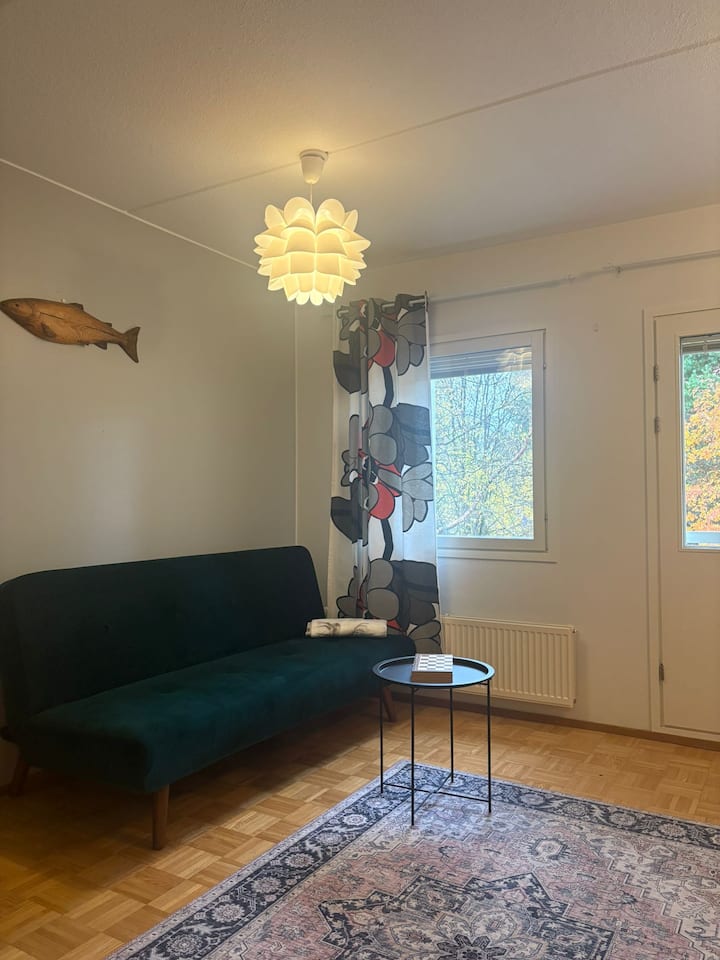 Tilava Yksiö Keskustan Tuntumassa - Rovaniemi