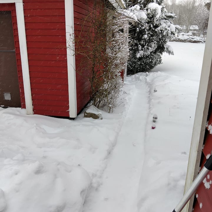 Staza do naše kuće za goste i spavaće sobe br. 4, Villa Kunterbunt. Ovu kuću postupno uređuju naša djeca. 