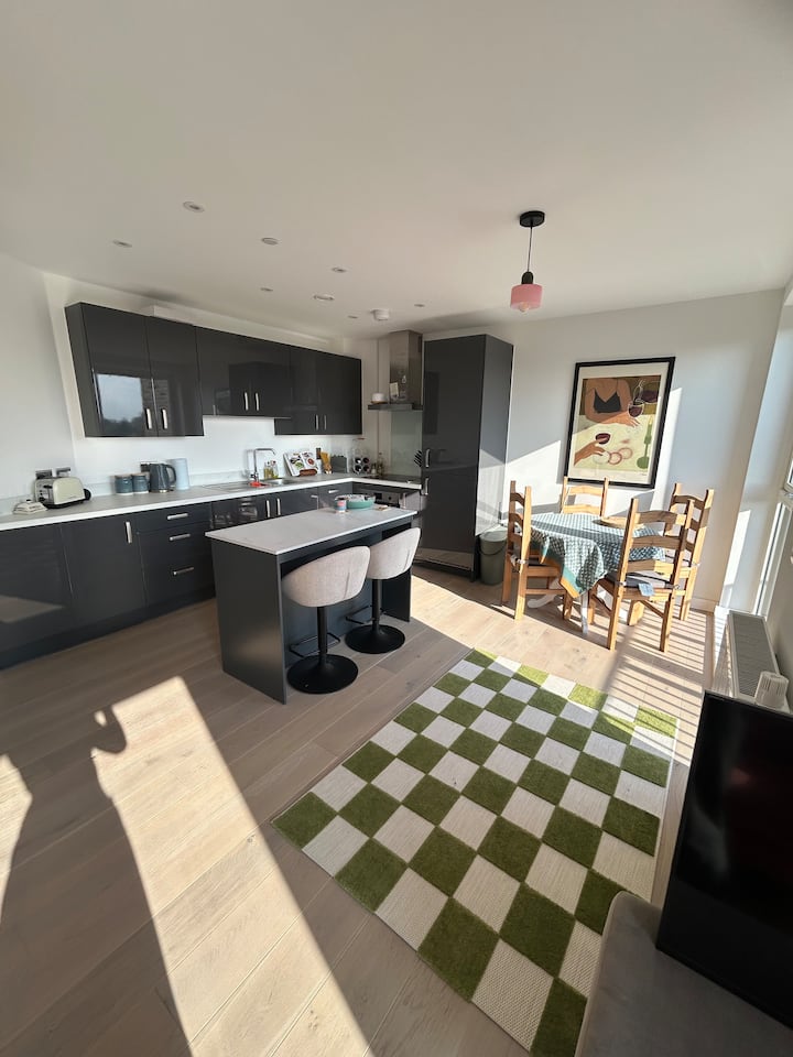 Bright Flat Close To Station - Canary Wharf - London