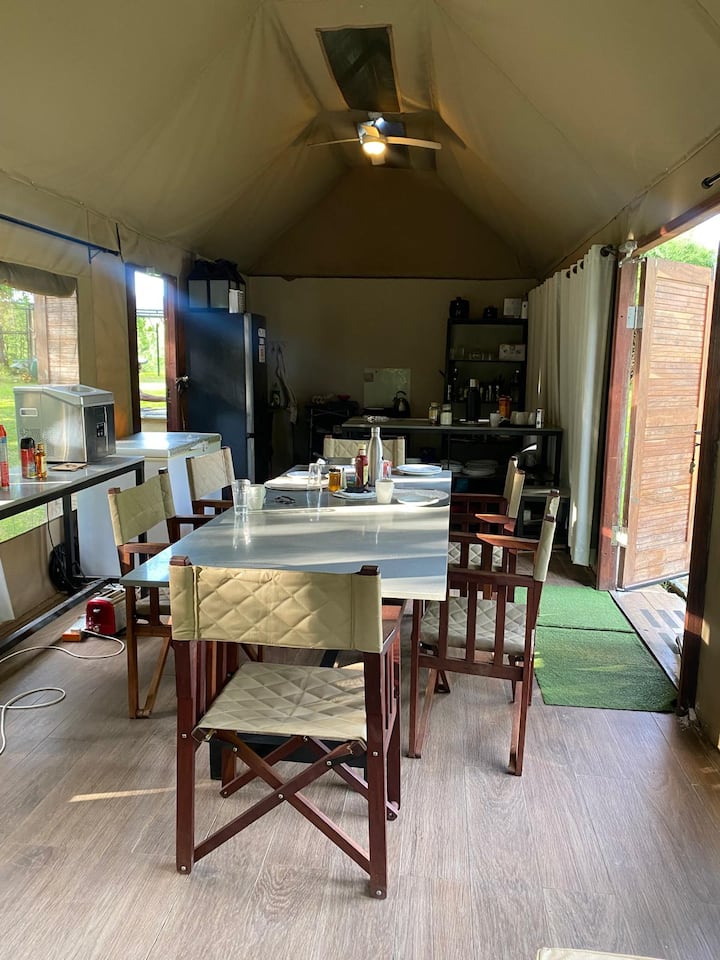 Mongwe Safari Camp On The Zambezi River - Zimbabwe