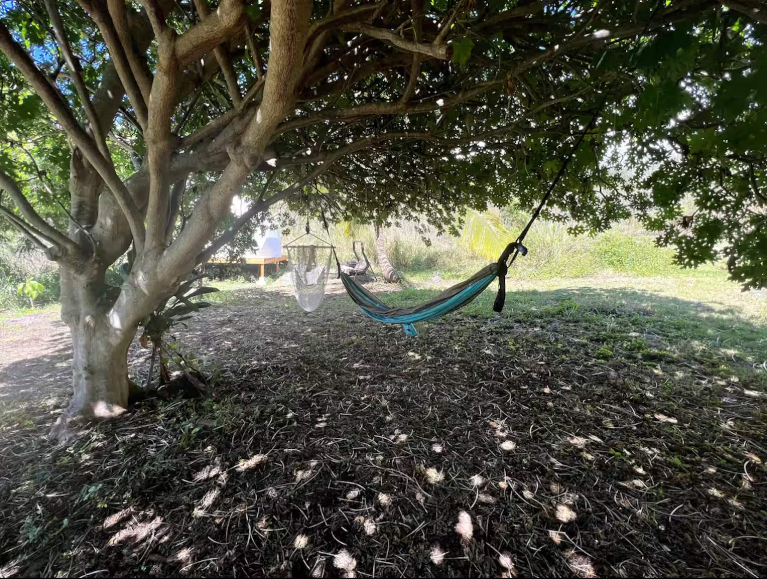 Magical Geodesic Dome at Fruit Farm near ocean - Photo 9