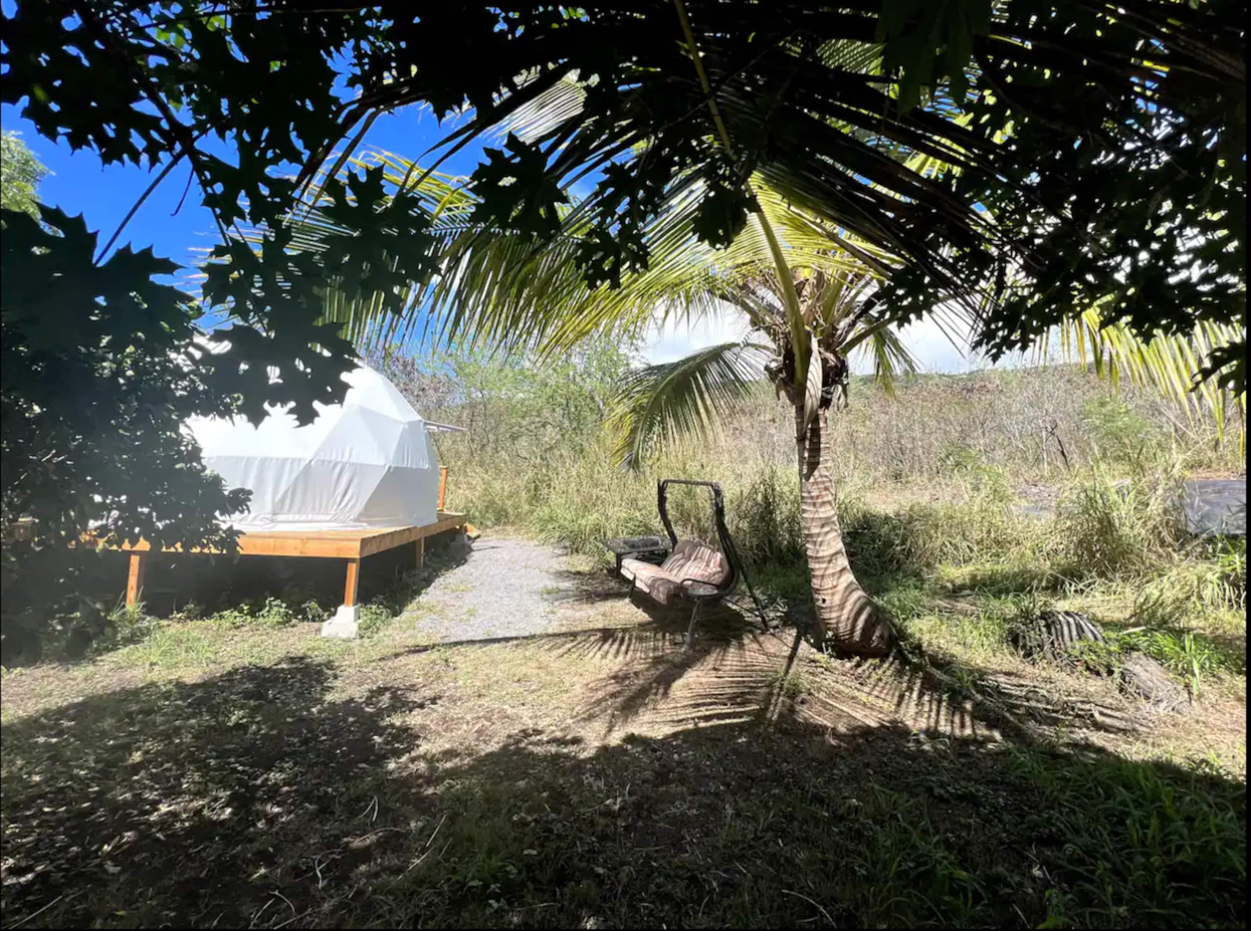 Magical Geodesic Dome at Fruit Farm near ocean - Photo 13