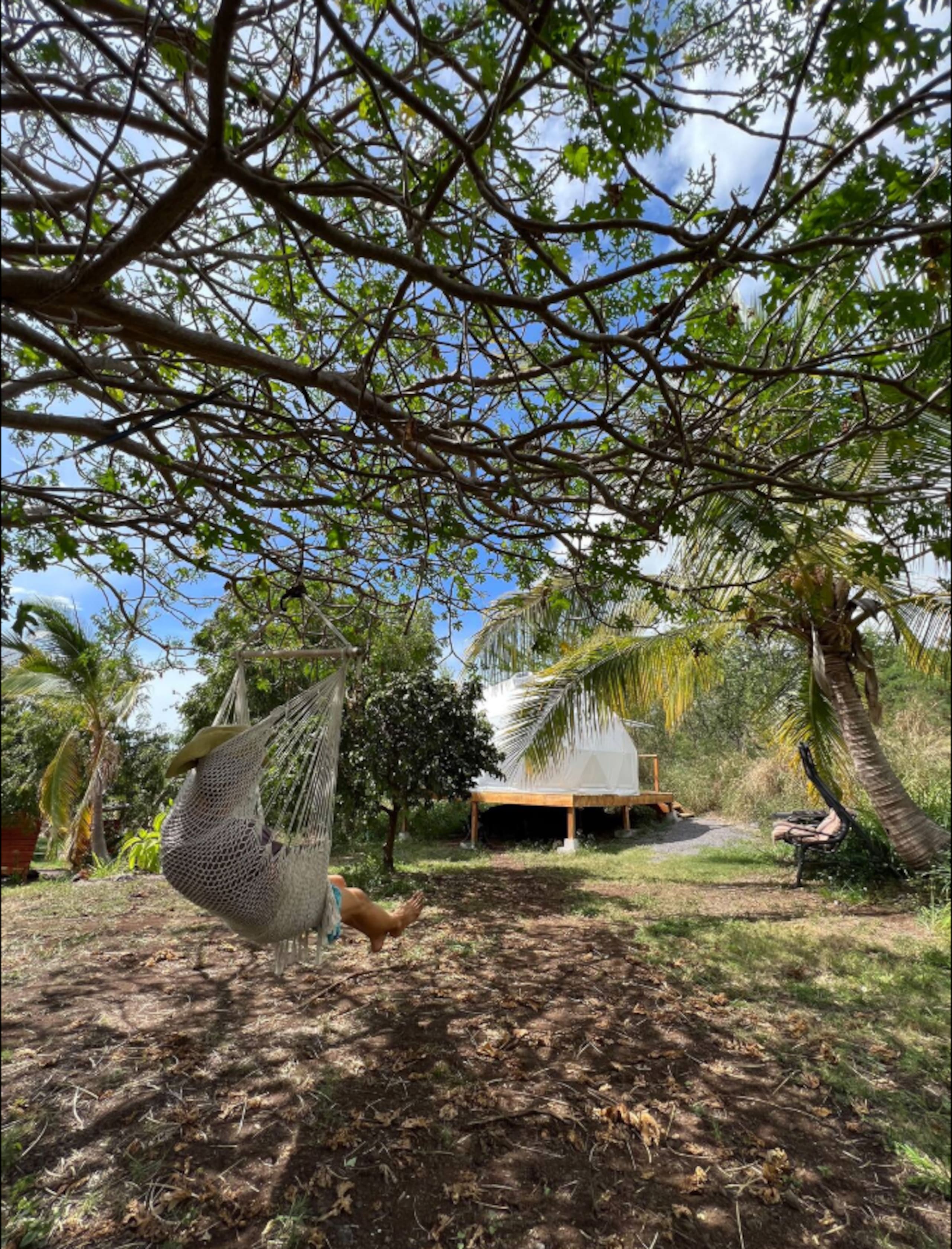 Magical Geodesic Dome at Fruit Farm near ocean - Photo 4