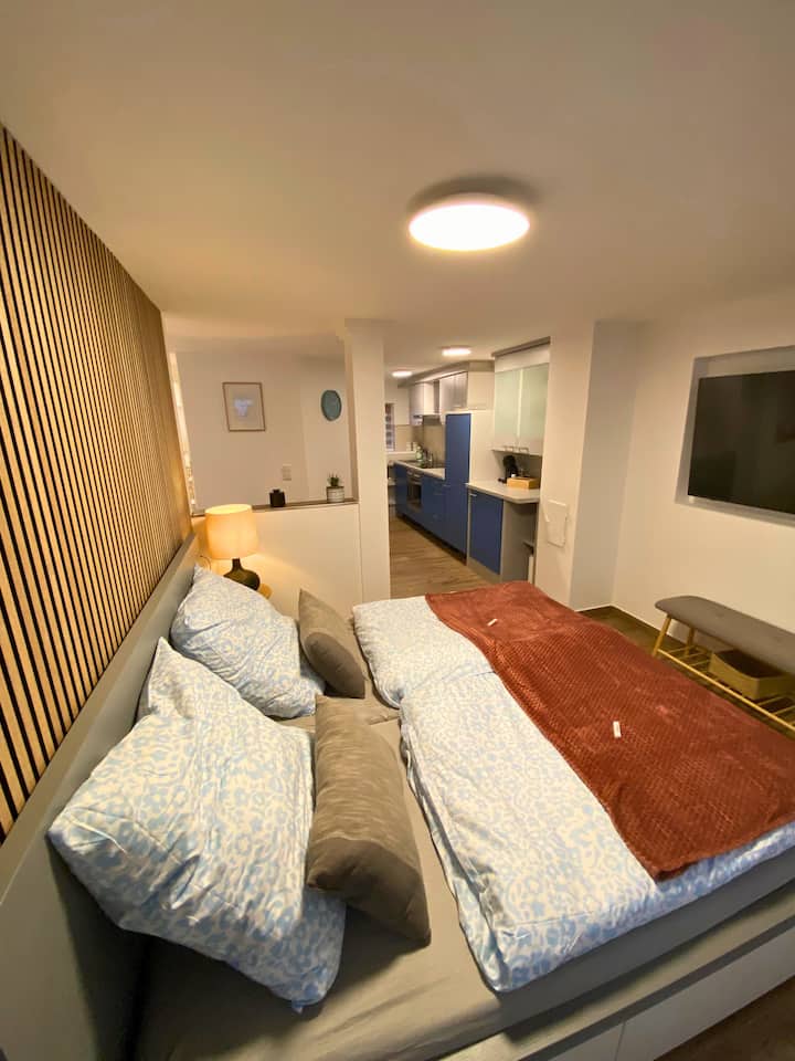 Modern apartment in the city center